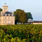 vendanges Larose