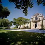 lynchbages