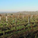 cotesdebourg