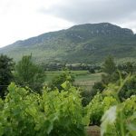 picsaintloup