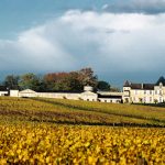 yquem2012