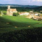bourgogneunesco