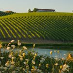 VIGNOBLEOREGON