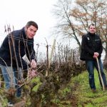 domainedescognettes domainedescognettes