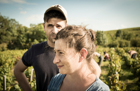 Beaujolais-septembre2014