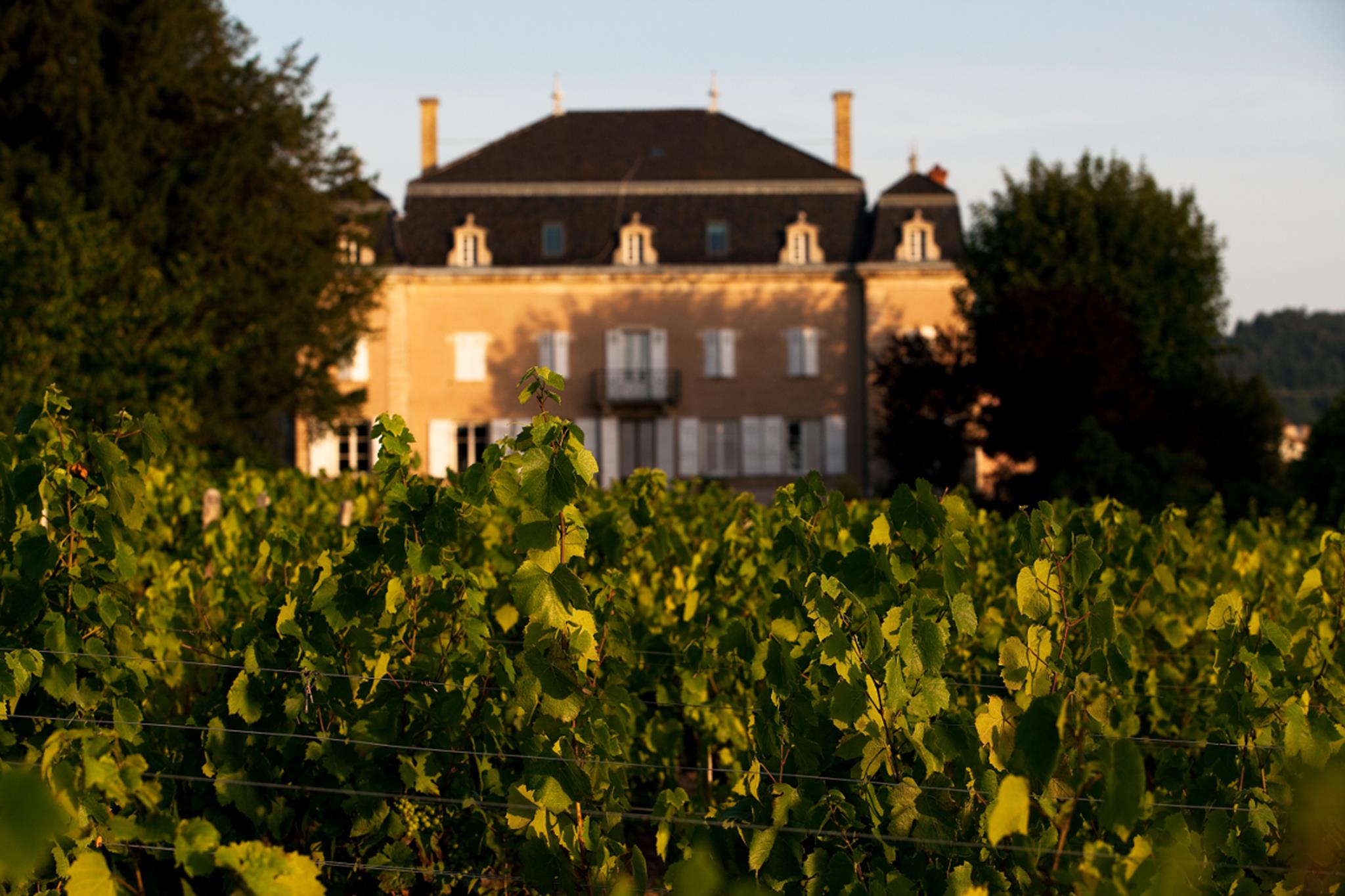 lechateaudumoulinavent284ko1 lechateaudumoulinavent284ko1 Terre de Vins lechateaudumoulinavent284ko1 lechateaudumoulinavent284ko1 Terre de Vins