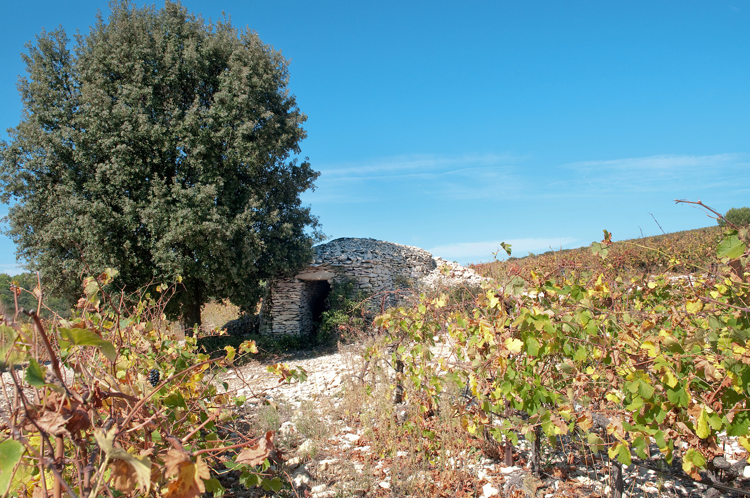 Terre De Sommieres à Prix Carrefour