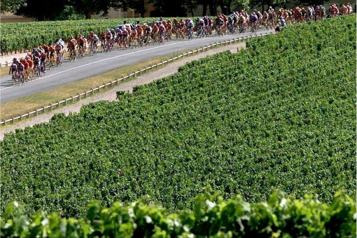 vin rouge tour de france