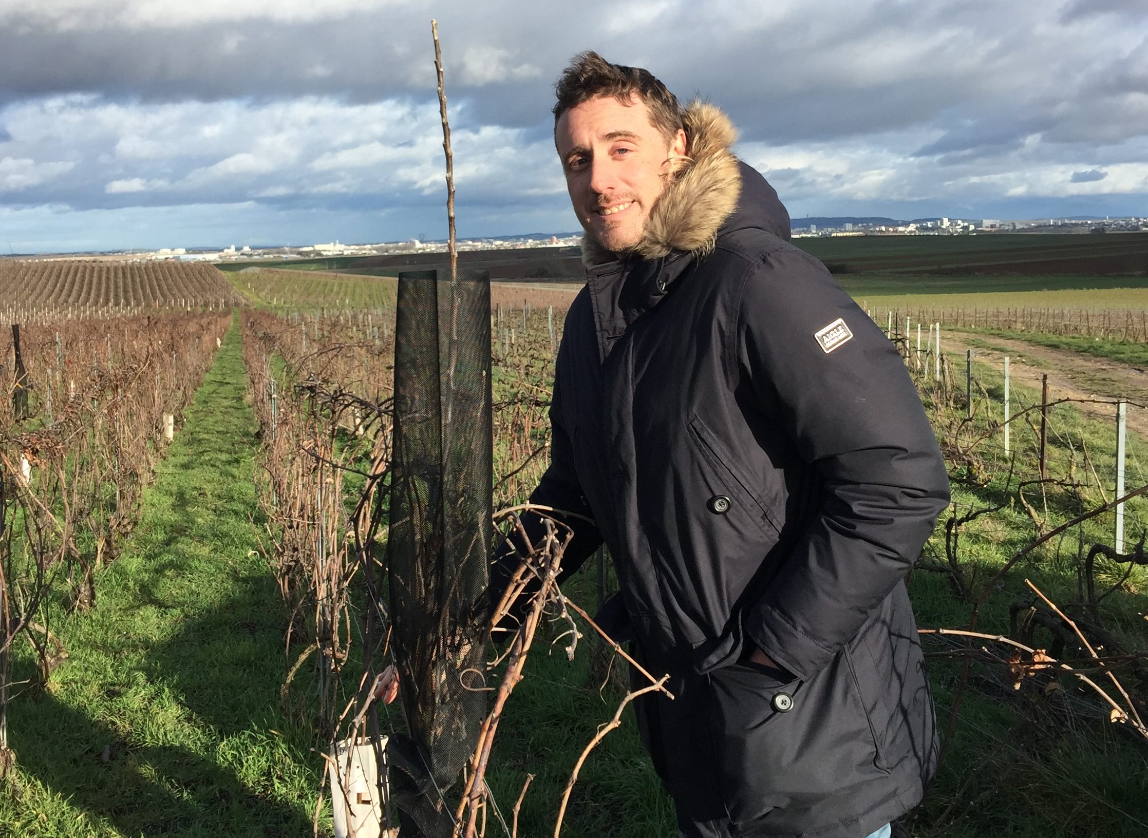Champagne : Alexandre Lamblot, génération biodiversité