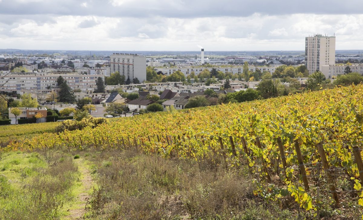 ville-de-dijon