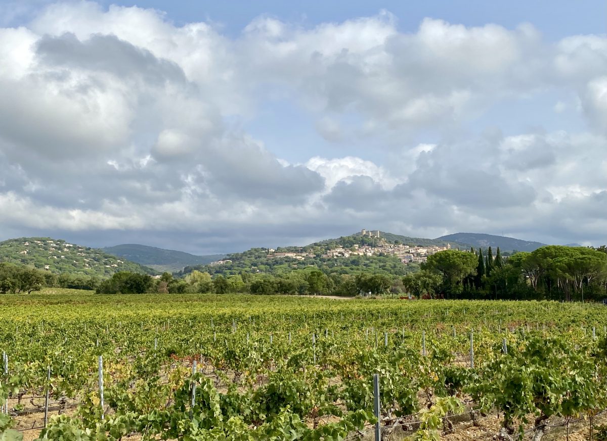 Vendanges2©F.Hermine