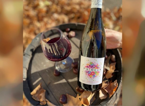 Primeur-rhône