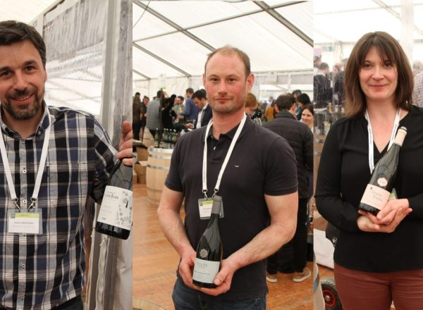 chablis_selections