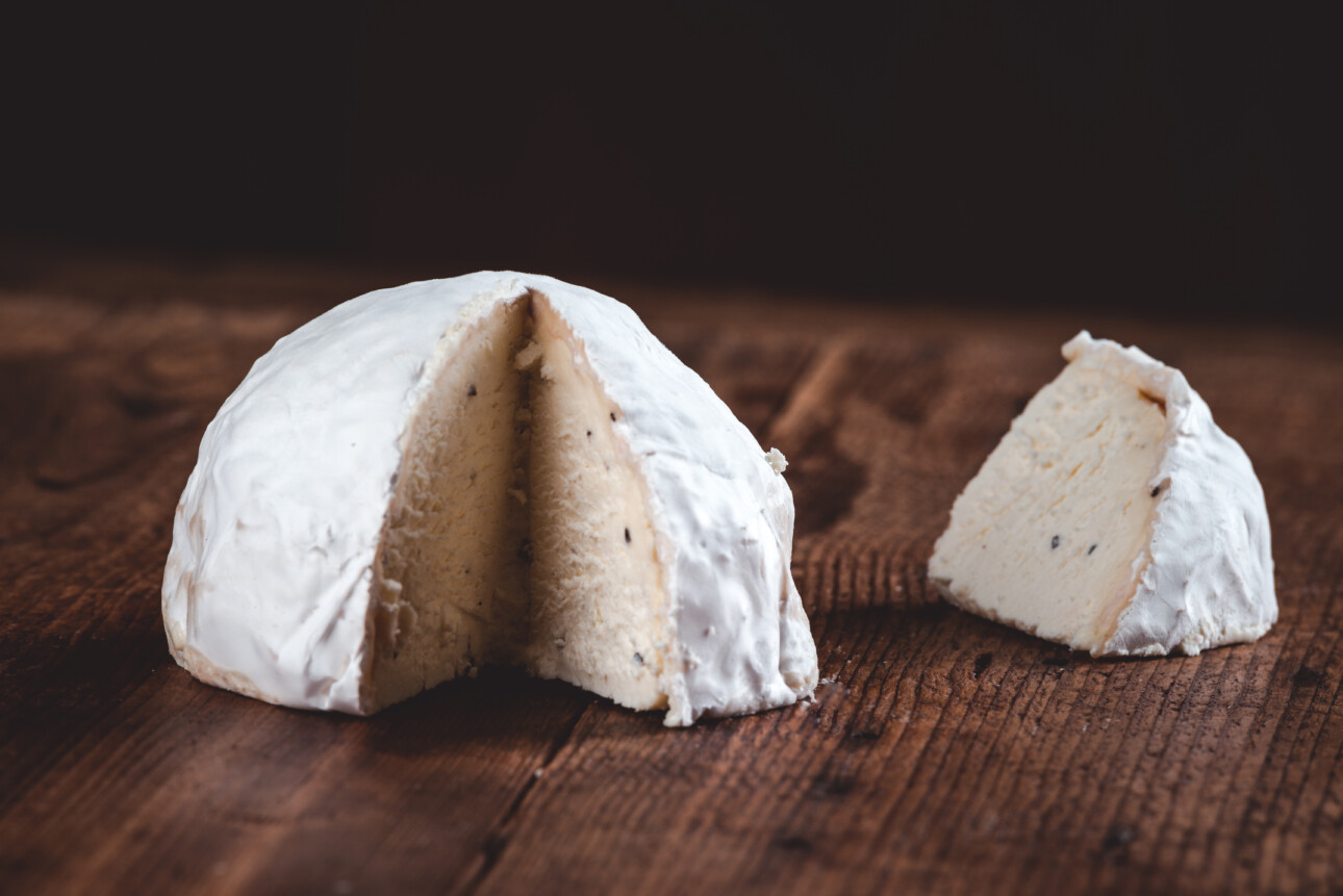 CAVE A FROMAGE ANTI-ODEURS POUR DES FROMAGES ONCTUEUX ET SAVOUREUX