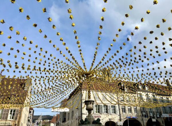 Percée vin jaune©F.HermineIMG_9228