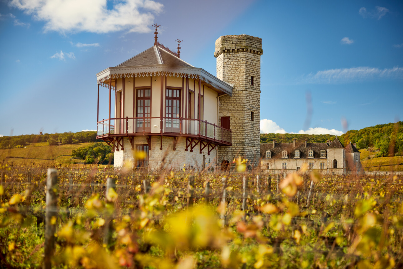 Maison Joseph Drouhin : pour une Bourgogne pérenne et accueillante