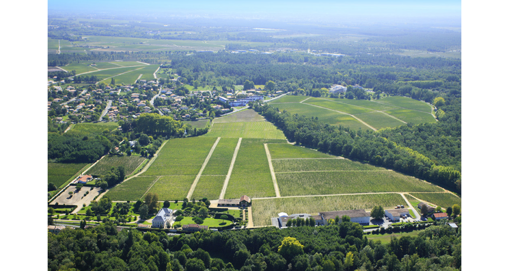 vue du vignoble de Pessac-Léognan