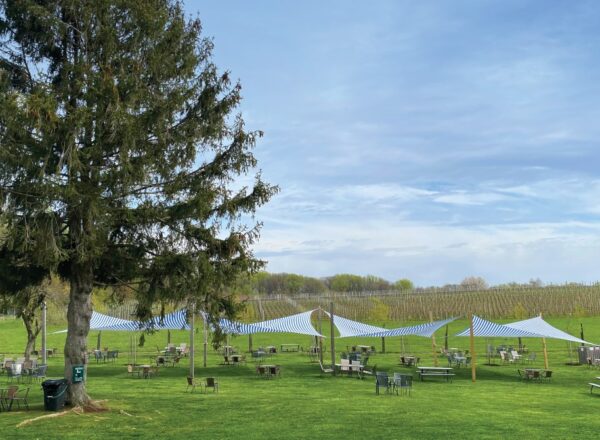Jardin du vignoble Penns Woods