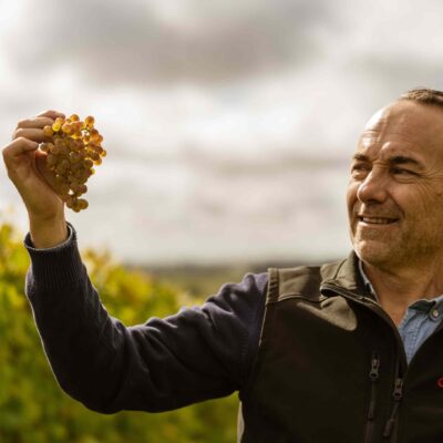 Fezas domaine Chiroulet