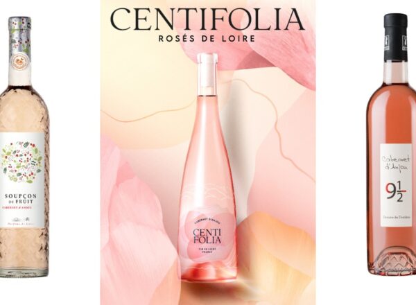 bouteilles de rosés