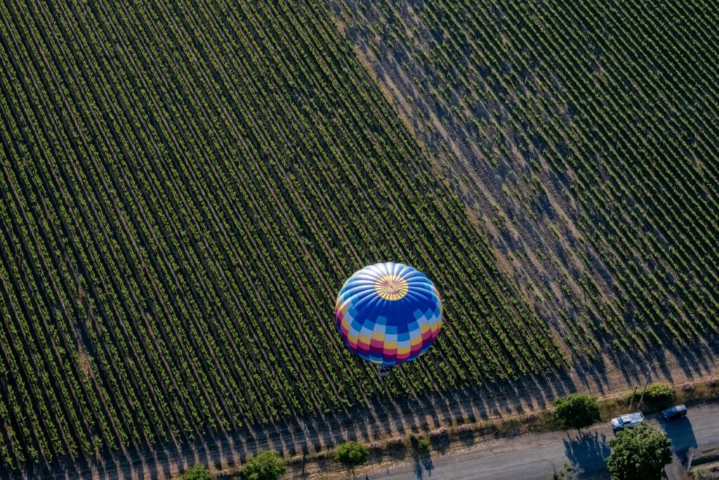 Montgolfière dans les vignes