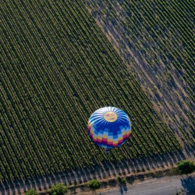 Montgolfière dans les vignes