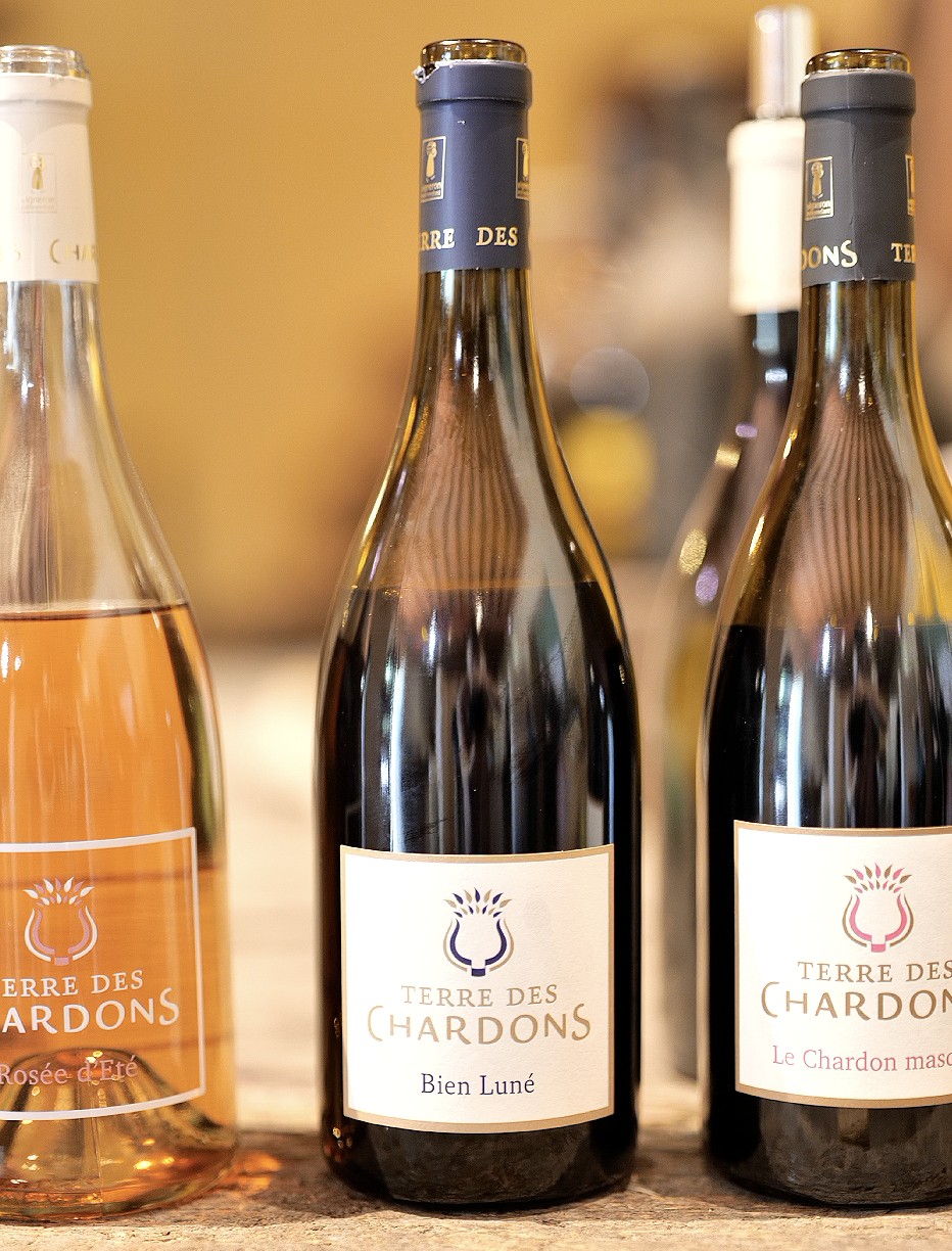 bien luné terre des chardons