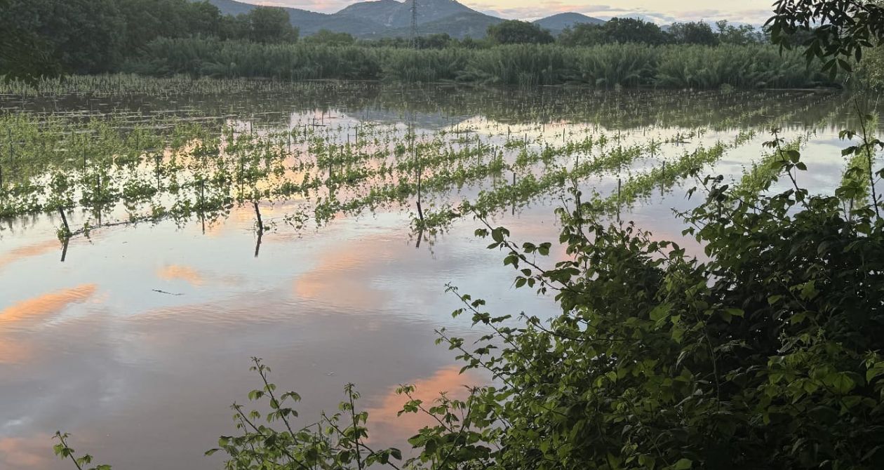 vignes inondées provence mai 2025