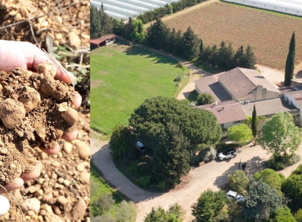 domaine terre des chardons bellegarde