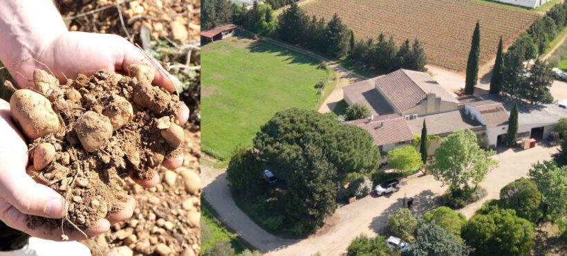 domaine terre des chardons bellegarde