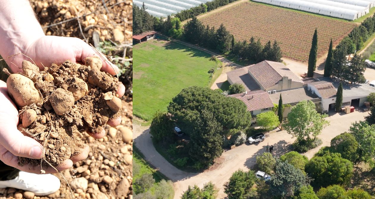domaine terre des chardons bellegarde