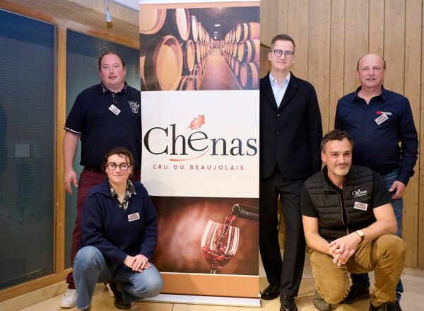 cru du beaujolais chénas visite de tomsons