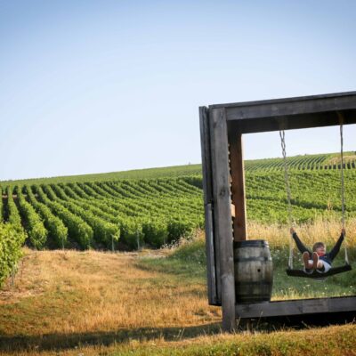 vignes et installation de la maison drappier à Urville