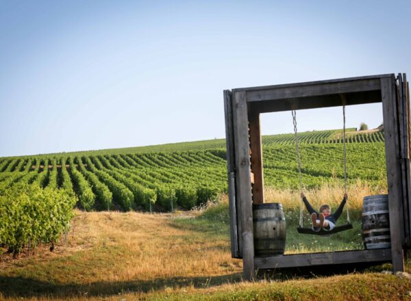 vignes et installation de la maison drappier à Urville