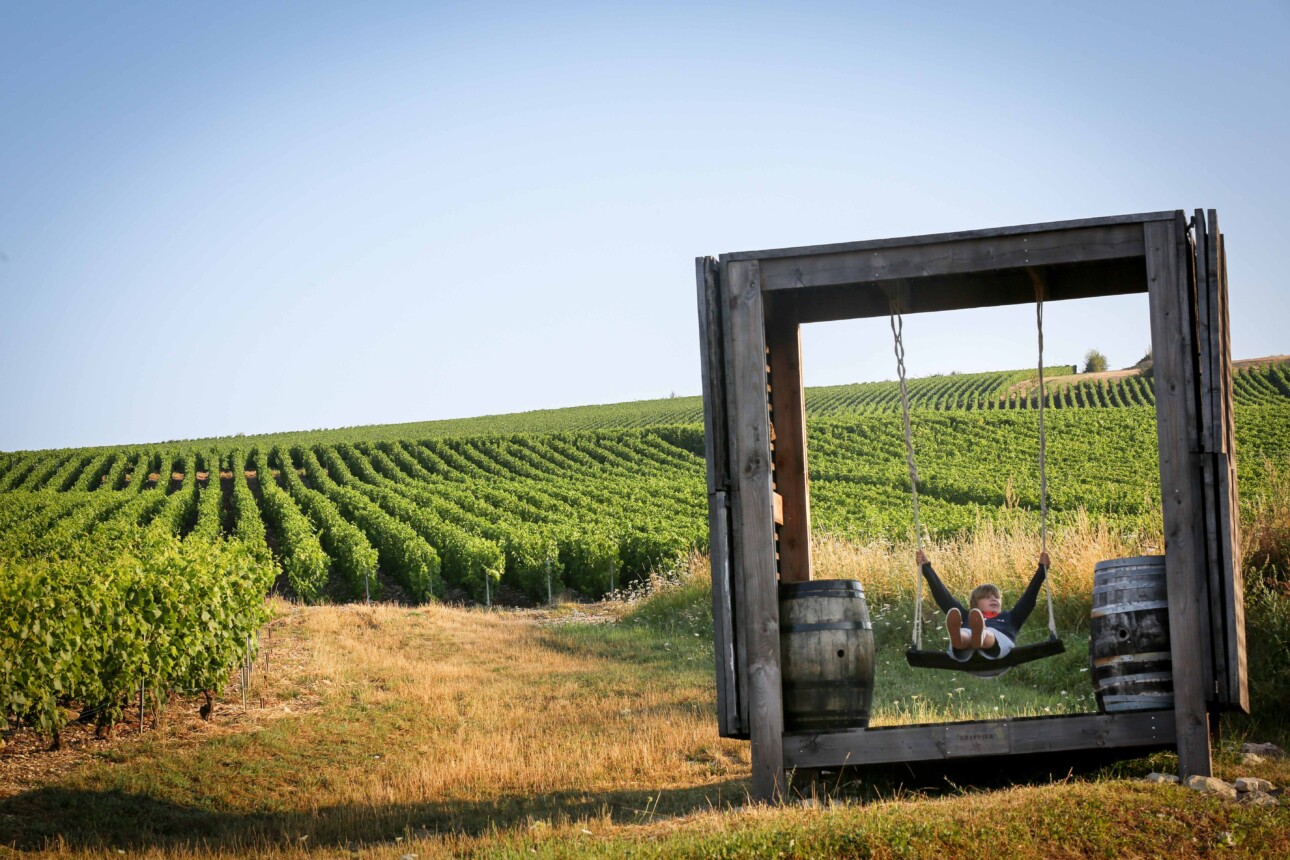 vignes et installation de la maison drappier à Urville