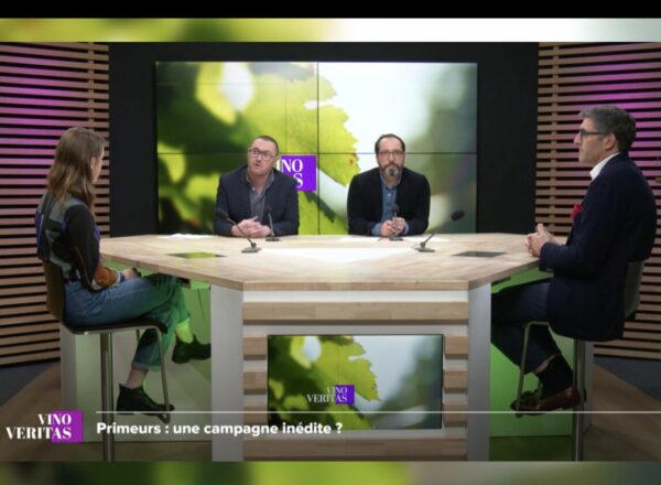 Vino Veritas Primeurs 2024, Maison Dubecq, FX Maroteaux, Union des Grands Crus