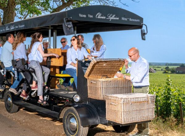 voiture dans les vignes bourgogne oenotourisme