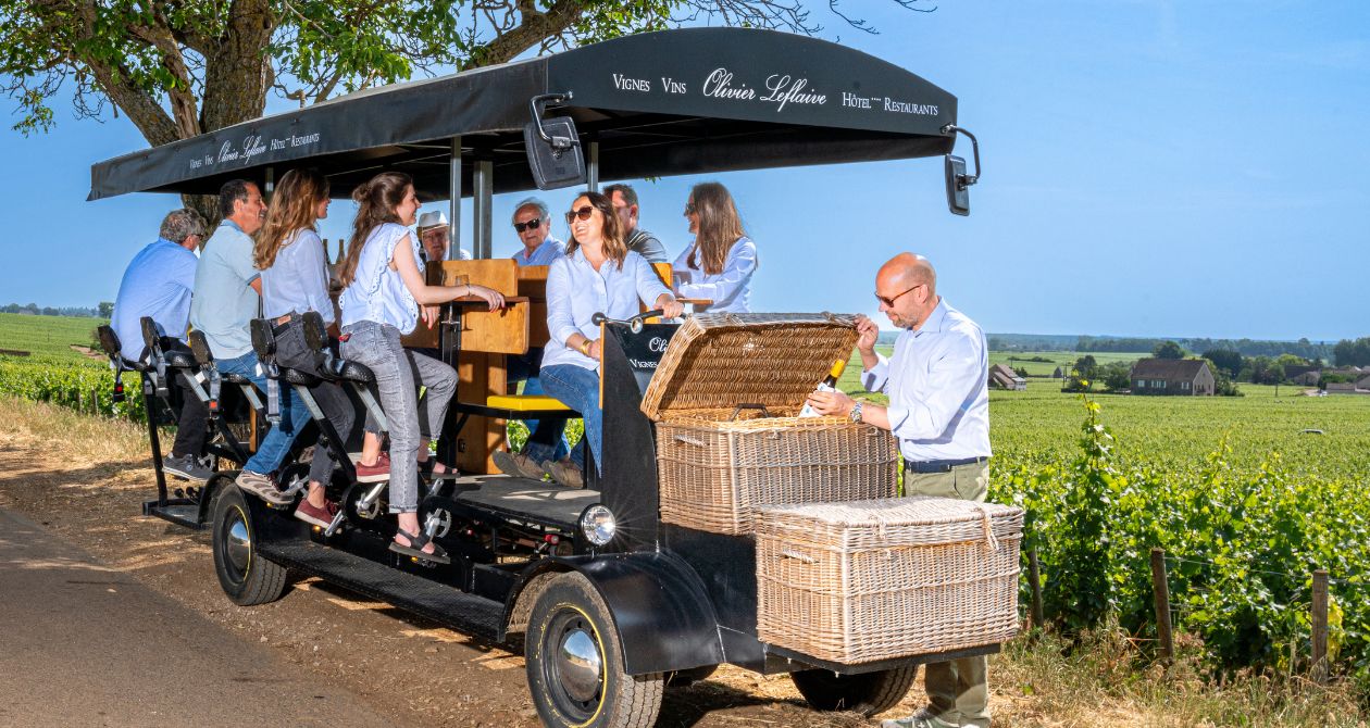 voiture dans les vignes bourgogne oenotourisme