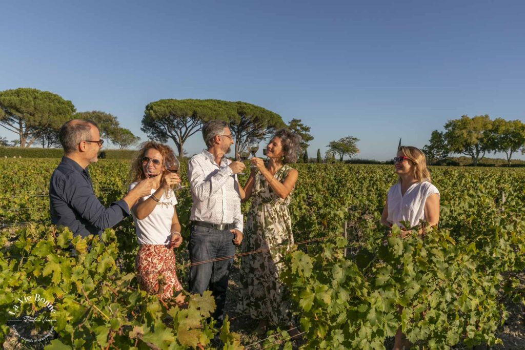 dégustation vignes bordeaux