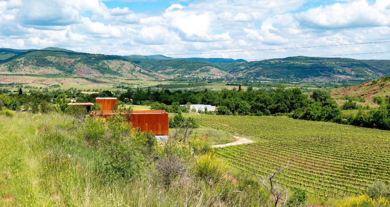 Salagou en magnums : le pari du Domaine Augusta