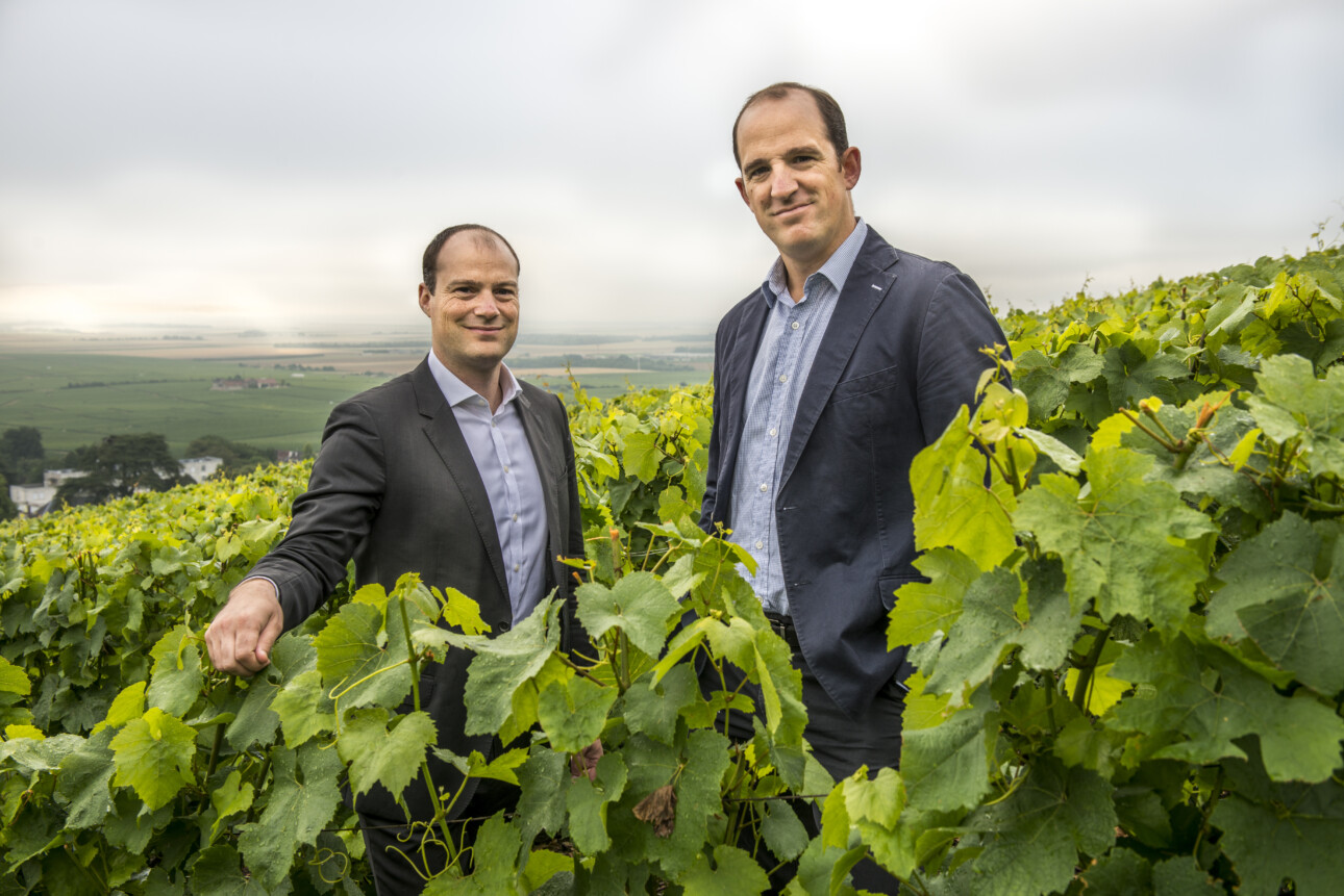 Lionel et Florent Roques-Boizel