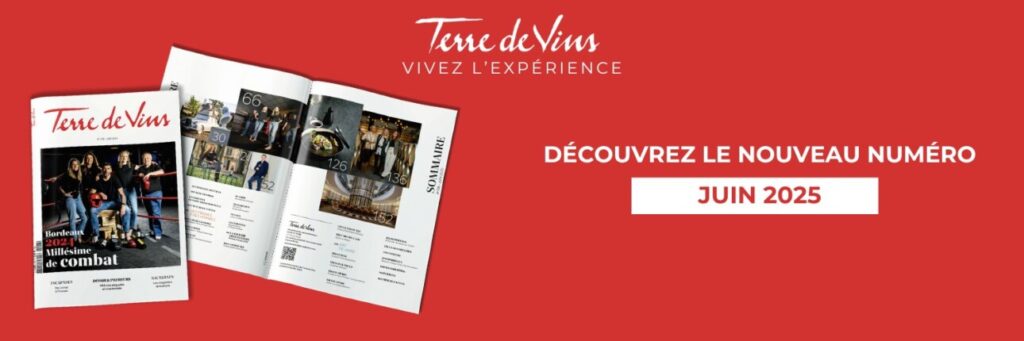 bannière Terre de Vins