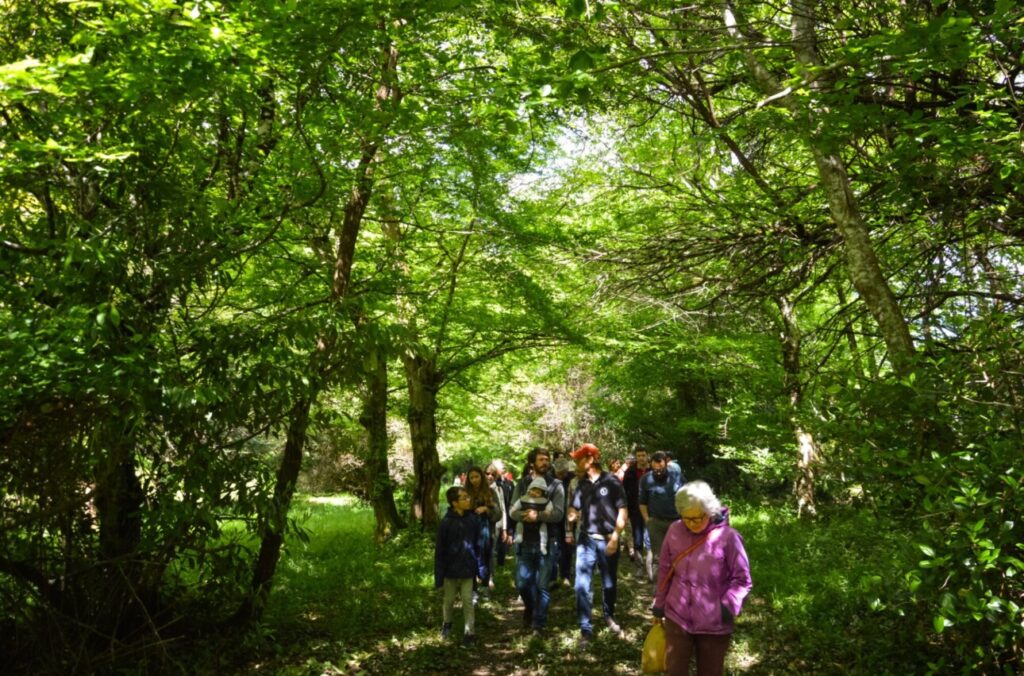 œnotourisme promenade dans les bois  