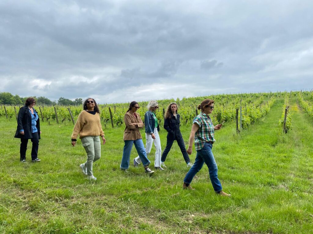 promenade dans les vignes 