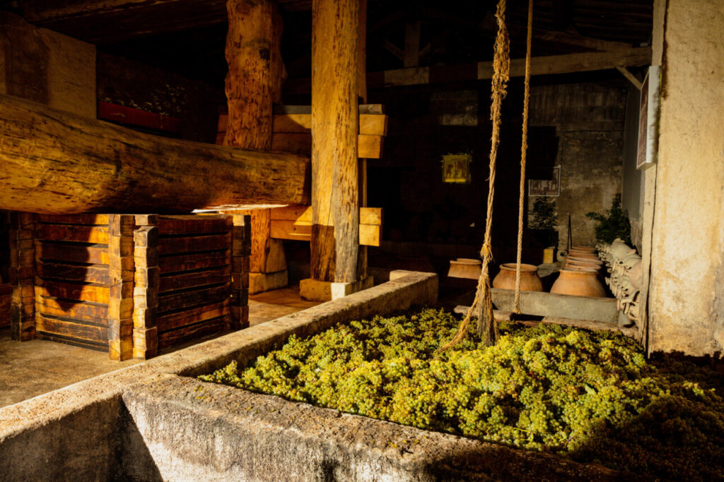vinification comme les gallo-romains