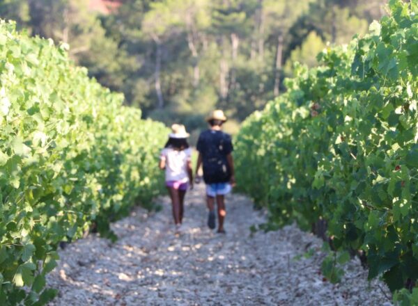 vignoble enfants