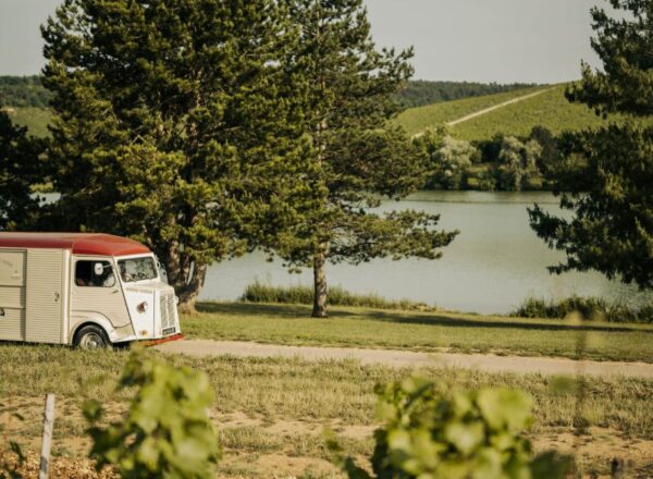 TUB citroen dans les vignes route beaujolais
