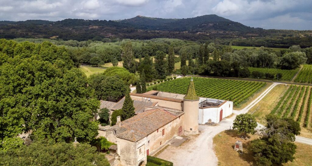 vue du château bas et des vignes
