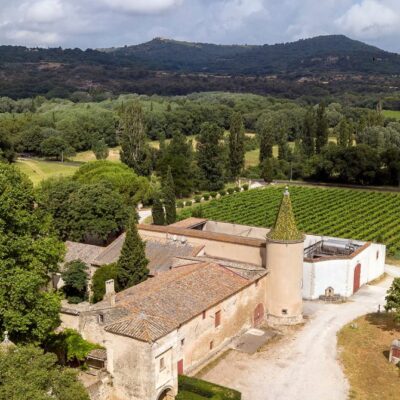 vue du château bas et des vignes