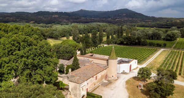 vue du château bas et des vignes